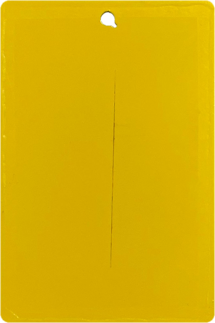 Yellow panel after 250 hours of neutral salt spray